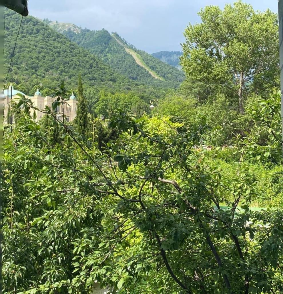 Panoramic Tufandag Family Apartment غابالا المظهر الخارجي الصورة